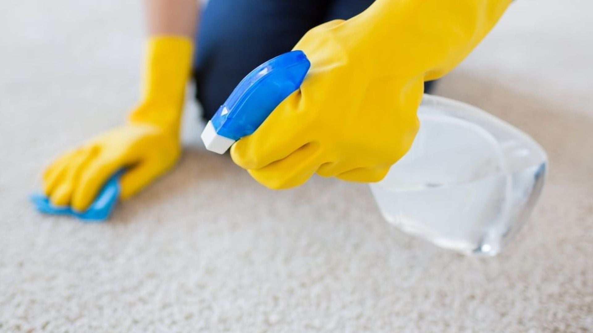 Guía práctica: ¿Cómo limpiar alfombras?